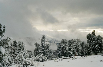 冬天<strong>阿尔泰</strong>山森林雪冬天<strong>阿尔泰</strong>雪下降了