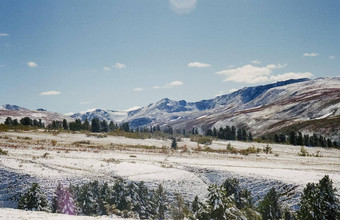 冬天<strong>阿尔泰</strong>山森林雪冬天<strong>阿尔泰</strong>雪下降了