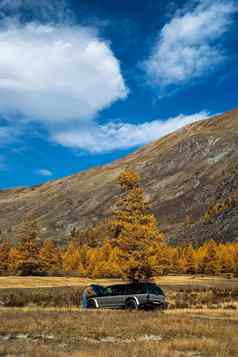 运动型多功能车树阿尔泰山旅行车