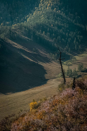 阿尔泰山景观自然阿尔泰山峡谷山