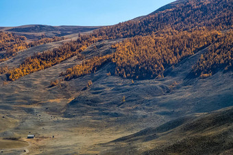 阿尔泰山景观自然阿尔泰山峡谷山