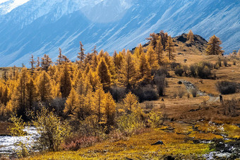 阿尔泰山景观自然阿尔泰山峡谷山