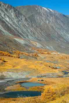 阿尔泰山景观自然阿尔泰山峡谷山