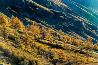 阿尔泰山景观自然阿尔泰山峡谷山