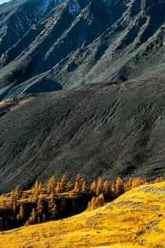 阿尔泰山景观自然阿尔泰山峡谷山