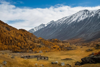 阿尔泰山景观自然阿尔泰山峡谷山