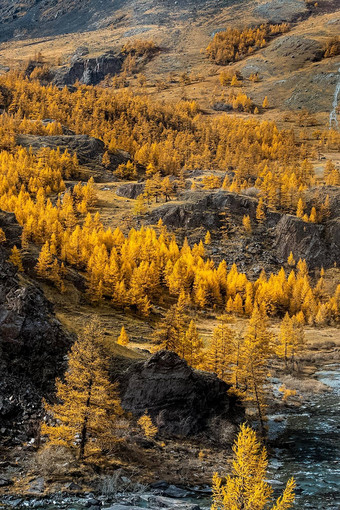 阿尔泰山景观自然阿尔泰山峡谷山