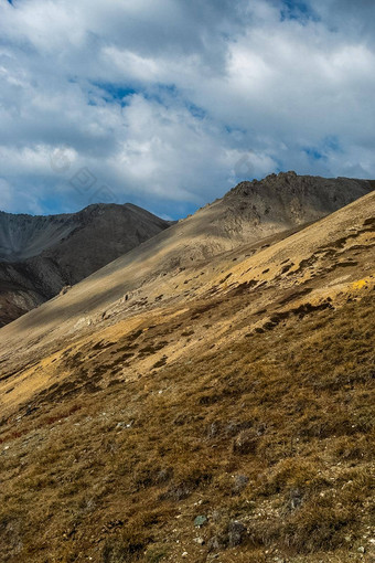 阿尔泰山景观自然阿尔泰山峡谷山