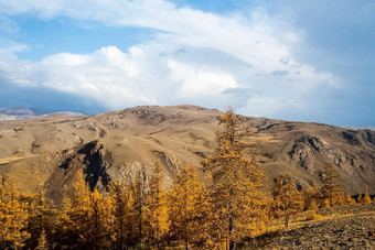 阿尔泰山景观自然阿尔泰山峡谷山