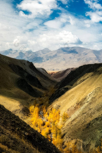 阿尔泰山景观自然阿尔泰山峡谷山