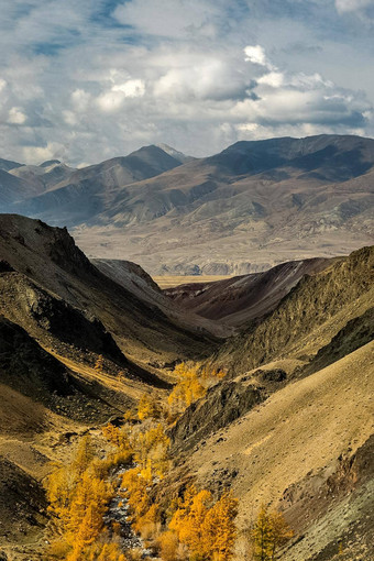 阿尔泰山景观自然阿尔泰山峡谷山