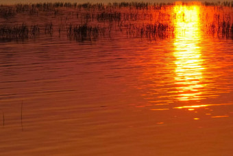 橙色<strong>疏导</strong>水表面湖草湖反射日落
