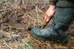 男人。橡胶靴子挖掘铲坑沼泽发现水