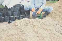底物材料日益增长的植物土壤肥料种植袋移植幼苗