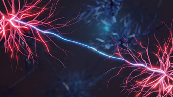 大脑细胞沟通神经科学医疗概念数字渲染