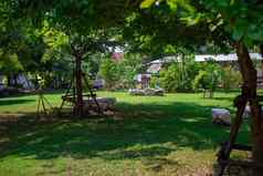 坦普尔的花园包围自然树绿色空间人区域