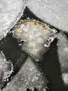冰浮冰浮动河解冻结束冬天