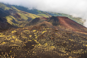 山埃特纳火山火山景观典型的植被西西里