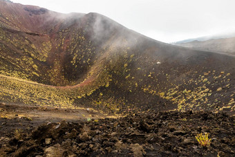 山埃特纳火山火山景观典型的植被西西里