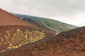 山埃特纳<strong>火山火山</strong>景观典型的植被西西里