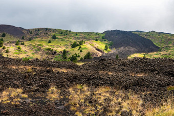 山埃特纳<strong>火山火山</strong>景观典型的夏天植被