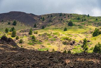 山埃特纳<strong>火山火山</strong>景观典型的夏天植被