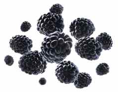 成熟的黑莓悬浮白色背景