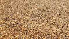 棕色（的）潮湿的木芯片覆盖物地面