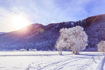 阳光明媚的<strong>冬天景观</strong>阿尔卑斯山脉山范围雪树字段