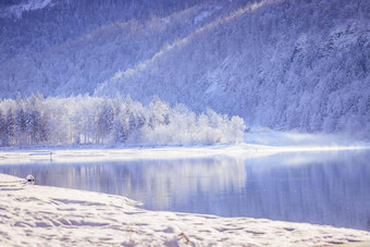 阳光明媚的<strong>冬天景观</strong>阿尔卑斯山脉湖hintersee萨尔茨堡雪树山