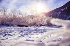 阳光明媚的冬天景观阿尔卑斯山脉雪木桥冷淡的树山范围