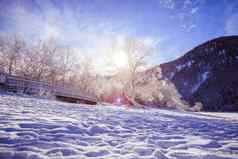 阳光明媚的冬天景观阿尔卑斯山脉雪木桥冷淡的树山范围