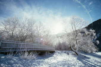 阳光明媚的<strong>冬天景观</strong>阿尔卑斯山脉雪木桥冷淡的树山范围