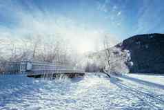 阳光明媚的冬天景观阿尔卑斯山脉雪木桥冷淡的树山范围