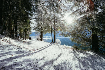 阳光明媚的<strong>冬天景观</strong>自然小径雪树阳光蓝色的天空