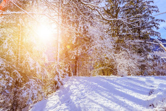阳光明媚的<strong>冬天景观</strong>自然小径雪树阳光蓝色的天空