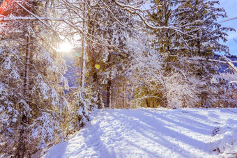 阳光明媚的冬天景观<strong>自然小径</strong>雪树阳光蓝色的天空