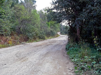 比利时语束自然比利时语束道路景观