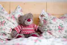 泰迪梦想概念泰迪熊坐着木床上