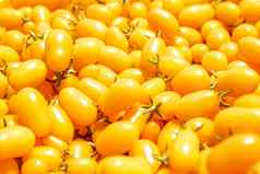 背景黄色的成熟的西红柿种植化学