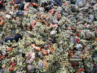 烹饪大米海鲜贻贝贝壳煮熟的增值税