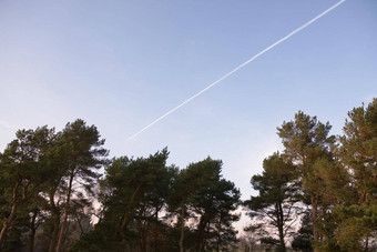 宽角图像航迹云的又名蒸汽小径旅行树