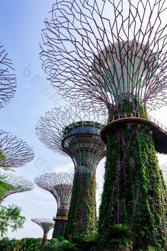supertree花园湾<strong>新加坡新加坡</strong>10月