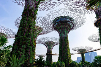 supertree花园湾<strong>新加坡新加坡</strong>10月