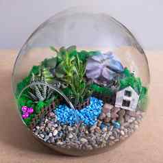 玻璃容器沙子岩石装饰房子多汁的仙人掌圆形的玻璃
