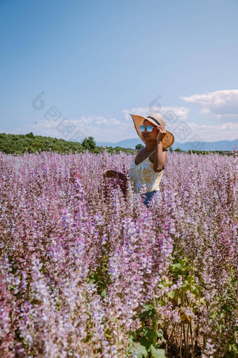 女人假期普罗旺斯薰衣草字段普罗旺斯薰衣草场法国瓦朗索高原色彩斑斓的场薰衣草瓦朗索高原普罗旺斯南部法国薰衣草场