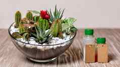 玻璃容器植物植物药物维生素