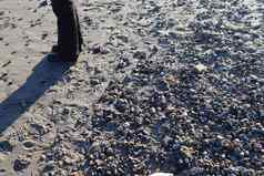 人类脚黑色的鞋子波罗的海海海滩北部德国