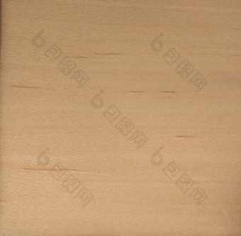 自然美国枫木皇冠减少木纹理背景美国枫木皇冠减少单板表面室内外制造商