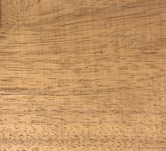 自然月桂树皇冠减少木纹理背景月桂树皇冠减少单板表面室内外制造商